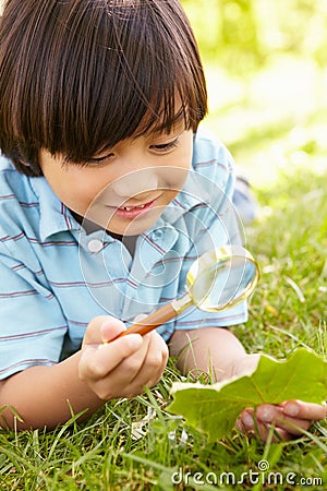 Boy examining leaf Stock Photo