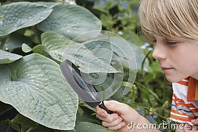 Boy Examining Leaf Through Magnifying Glass Stock Photo