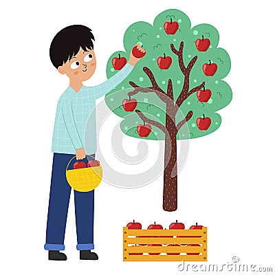 Boy farmer collecting red apples from the tree. Gardening and farming concept Vector Illustration