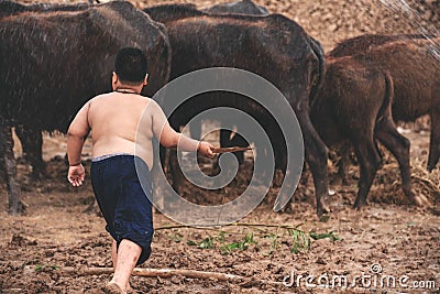 Boy farmer herd cow feeding food outdoor. Little farmer playing Stock Photo