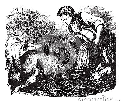 Boy feeding pigs, vintage illustration Vector Illustration