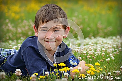 Boy in Field of Flowers Stock Photo