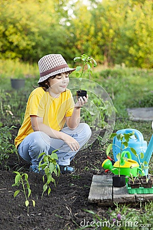 Boy in the garden admires the plant before planting. Green Sprout in Children Hands Stock Photo