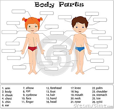 Boy and girl. Body parts, anatomy Vector Illustration