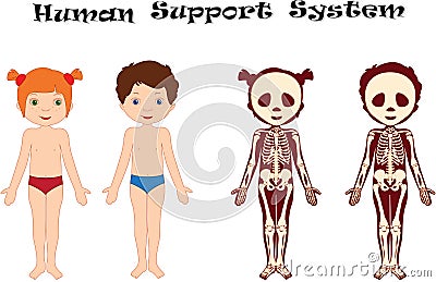 Boy and girl unclothed. Kids bodies by X-ray Vector Illustration