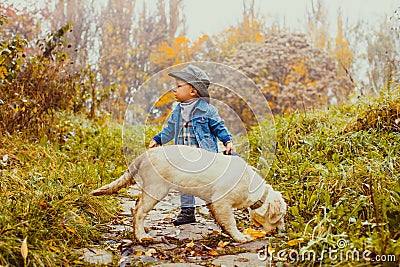Boy with golden retriever puppy Stock Photo
