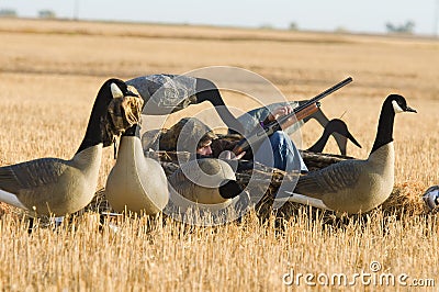 Boy Goose Hunting Stock Photo