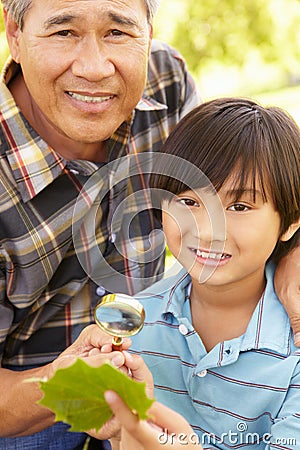 Boy and grandfather examining leaf Stock Photo