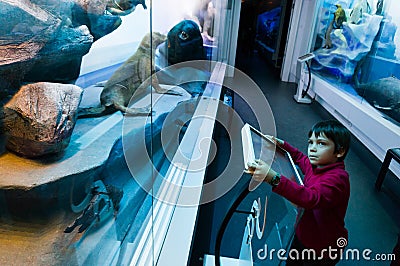 Boy in Grigore Antipa Natural History Museum Editorial Stock Photo