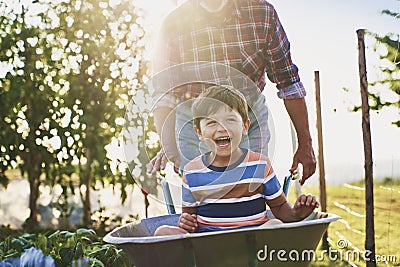 Boy have fun while driving on wheelbarrows Stock Photo