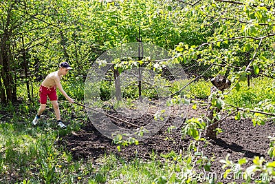 Boy helps to cultivate the land rake Stock Photo