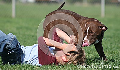 Boy and his dog Stock Photo