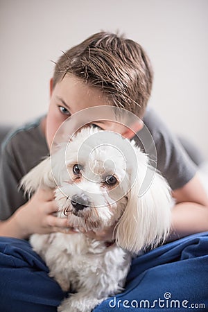 Boy with his dog Stock Photo