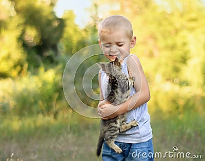 Boy holding kitten Stock Photo