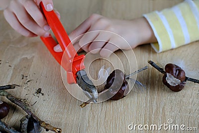 boy holds tree branches, chestnut, tools, child make chestnut man, handmade crafts from improvised natural material, concept Stock Photo