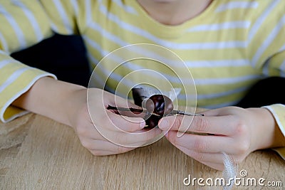 boy holds tree branches, chestnut, tools, child make chestnut man, handmade crafts from improvised natural material, concept Stock Photo