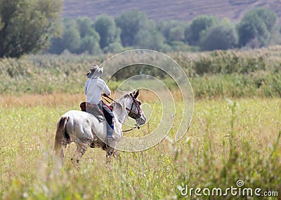 Boy on a horse on nature Stock Photo