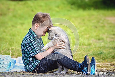 The boy with husky puppy Stock Photo