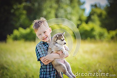 The boy with husky puppy Stock Photo