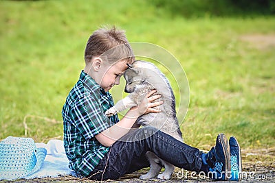 The boy with husky puppy Stock Photo