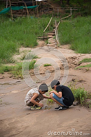 Boy interested Stock Photo