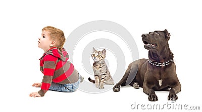 Boy, kitten and dog looking up Stock Photo