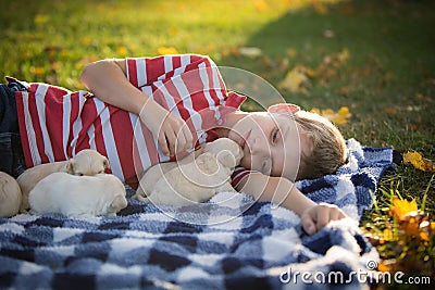 Little boy snuggling with cute tan puppies Stock Photo