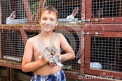 Boy with little rabbit Stock Photo