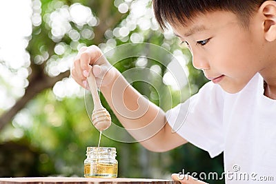 Boy look at honey comb Stock Photo