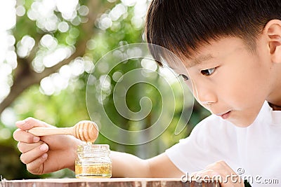 Boy look at honey comb Stock Photo