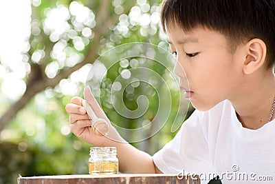 Boy look at honey comb Stock Photo