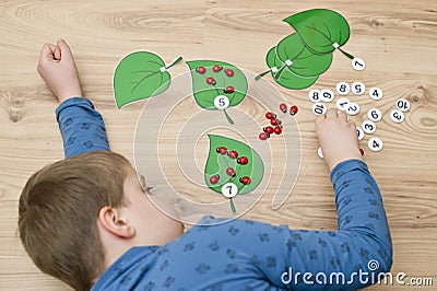 Boy lying on the floor and playing homemade counting game ` ladybird on the leaf `. Stock Photo