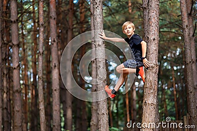 Boy in a pine forest climbed a tree and looks at the camera Stock Photo