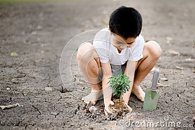 Boy planting on crack soil Stock Photo