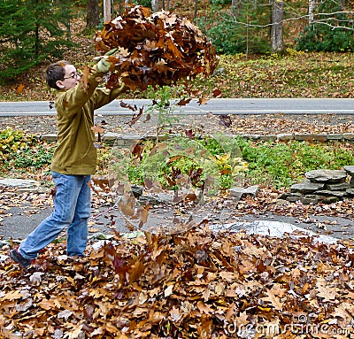 Boy playing with autumn leaves Stock Photo