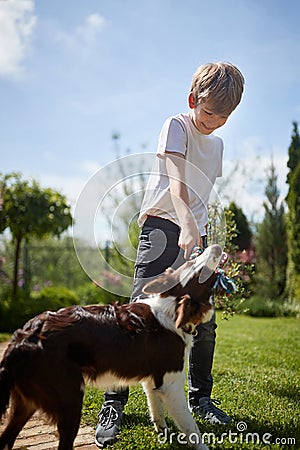 Boy is playing with his dog outside Stock Photo
