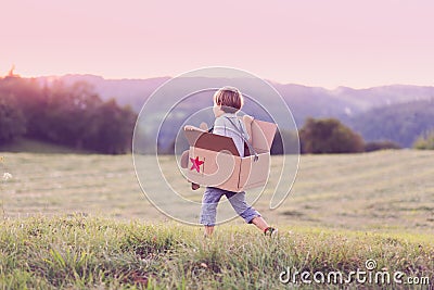 Boy playing with a large box aeroplane outside Stock Photo