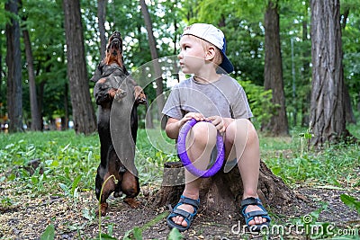 A boy plays with his dog a dachshund, trains, a dog fulfills a command to stand on two paws, for a walk in a green park Stock Photo