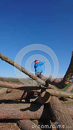 Boy pointing up at blue sky Stock Photo