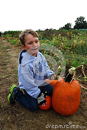 Boy in pumpkin field Stock Photo