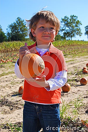 Boy in pumpkin field Stock Photo