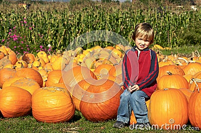 Boy at Pumpkin Patch Stock Photo