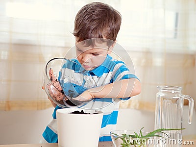 Boy puts plant in pot Stock Photo