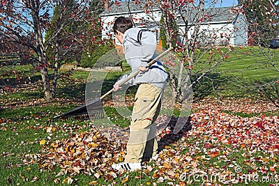 Boy Raking Stock Photo