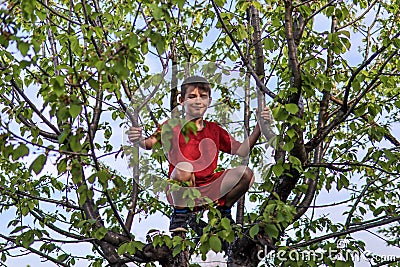 Boundless Joy: Boy's Playful Adventure in the Canopy of an Apple Tree on a Sunny Spring Day Stock Photo