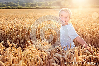 Boy running and smiling in wheat field in summer sunset Stock Photo