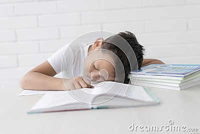 Boy schoolboy teaches lessons writing in notebook and reading books Stock Photo