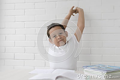 Boy schoolboy teaches lessons writing in notebook and reading books Stock Photo