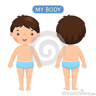 A boy showing parts of the body Vector Illustration