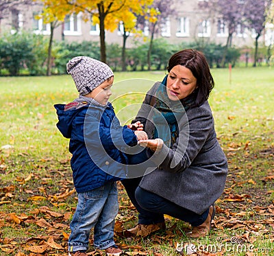 Boy showing woman chestnut Stock Photo